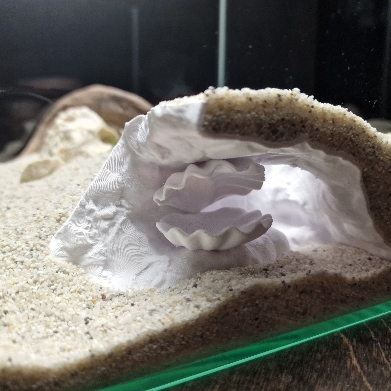 Aquarium Fish Hideout - Versteckte Muschelförmige Aquarium-Höhle 3D-Gedruckt, Kleine Versteckhöhle