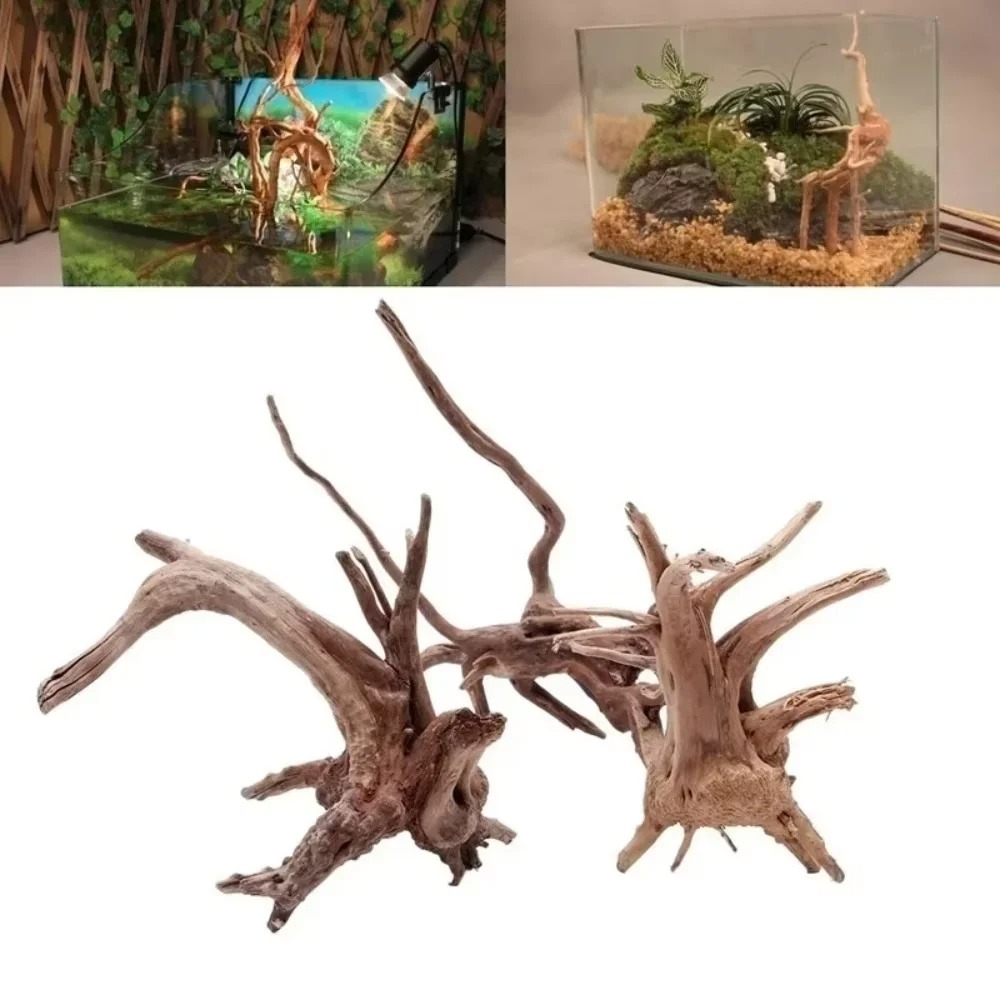 Aquarium Fish Gallery - 15-20CM Natürliches Treibholz Aquarium-Dekoration - Premium