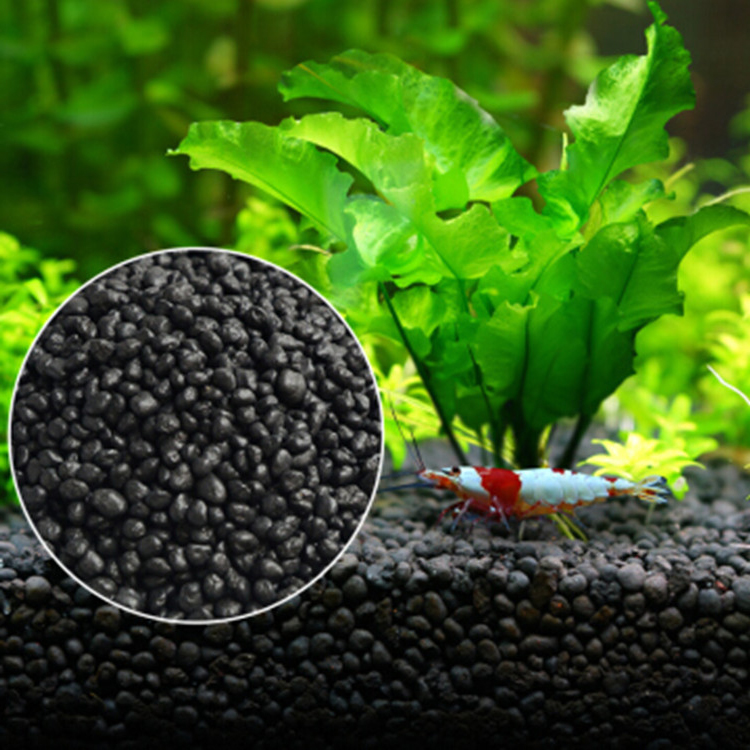 Aquarium Fish Gallery - Aquarium Pflanzen Samen Boden Fishtank Substrat
