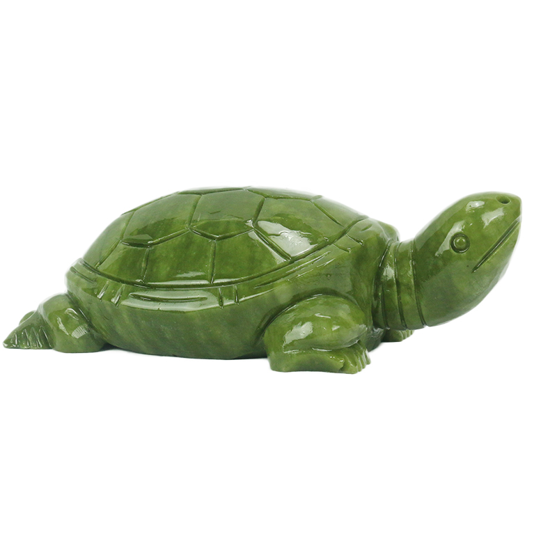 Natürliche Jade/Schildkröte Sk – Aquarium Fish Gallery Bewertung und Preis
