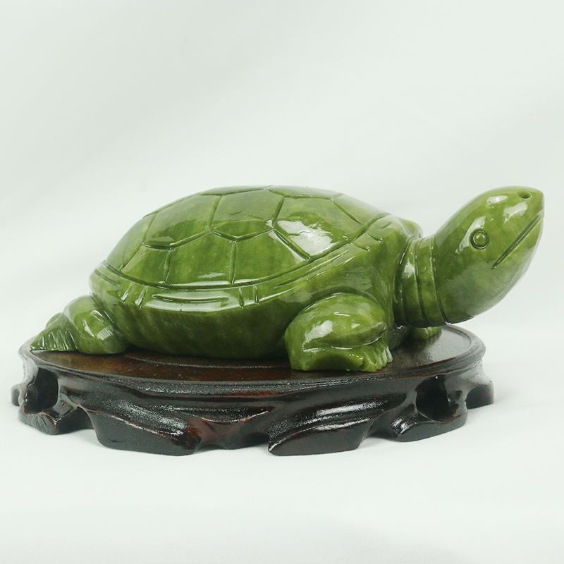 Natürliche Jade/Schildkröte Sk – Aquarium Fish Gallery Bewertung und Preis