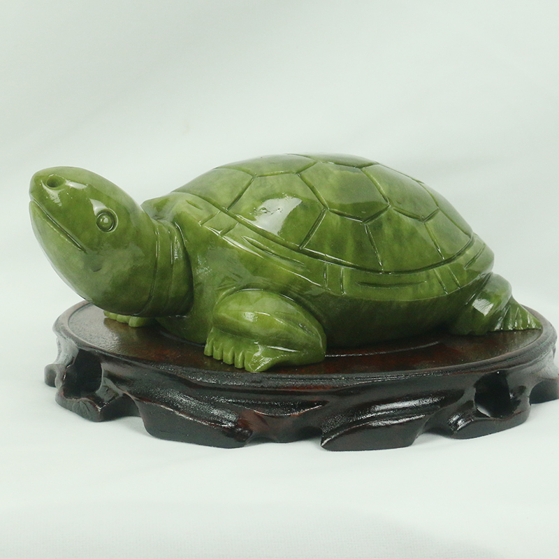 Natürliche Jade/Schildkröte Sk – Aquarium Fish Gallery Bewertung und Preis