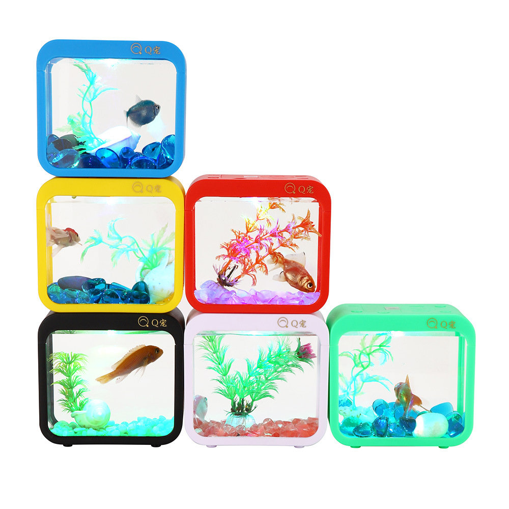 Bunte kreative Betta-Box mit L – Aquarium Goldfish Bewertung und Preis