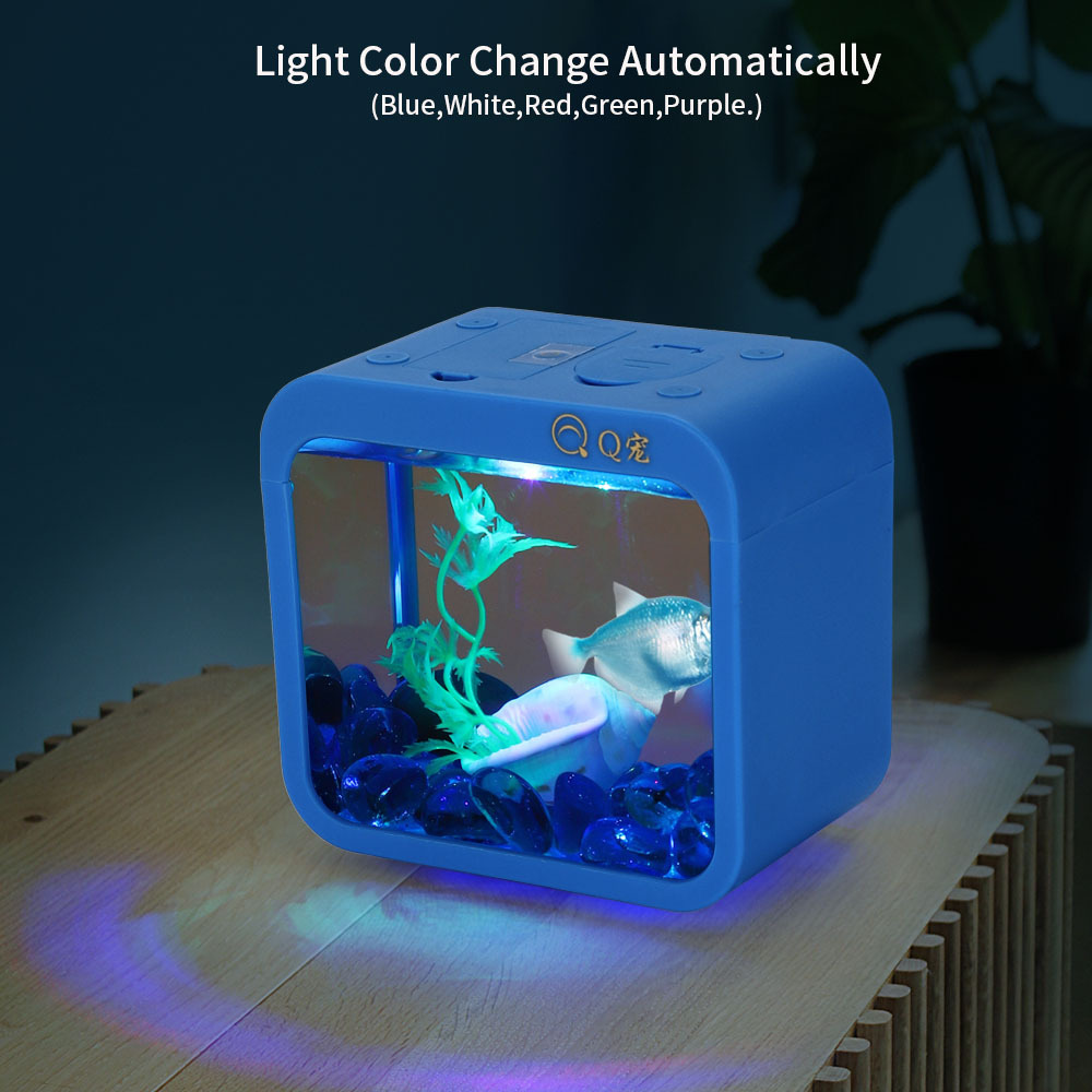 Bunte kreative Betta-Box mit L – Aquarium Goldfish Bewertung und Preis