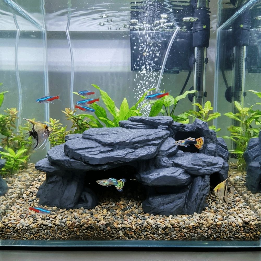 3D-gedruckte Fischbecken-Felse – Aquarium Fish Hiding Places Bewertung und Preis