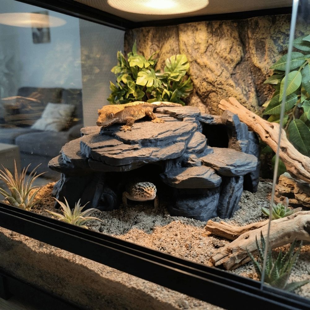 3D-gedruckte Fischbecken-Felse – Aquarium Fish Hiding Places Bewertung und Preis