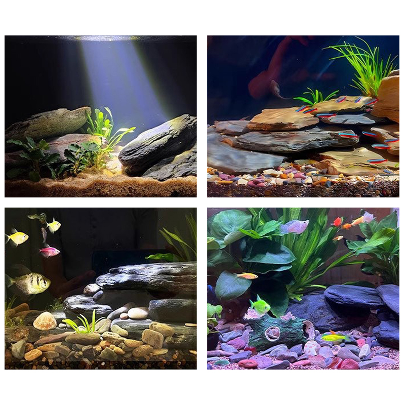 500/1000g Aquarium-Landschafts – Aquarium Fish Gallery Bewertung und Preis