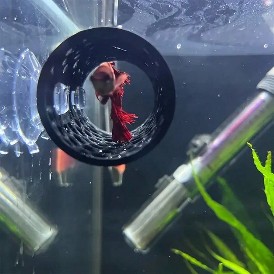 Aquarium-Fischversteck, schwar – Aquarium Fish Hideout Bewertung und Preis