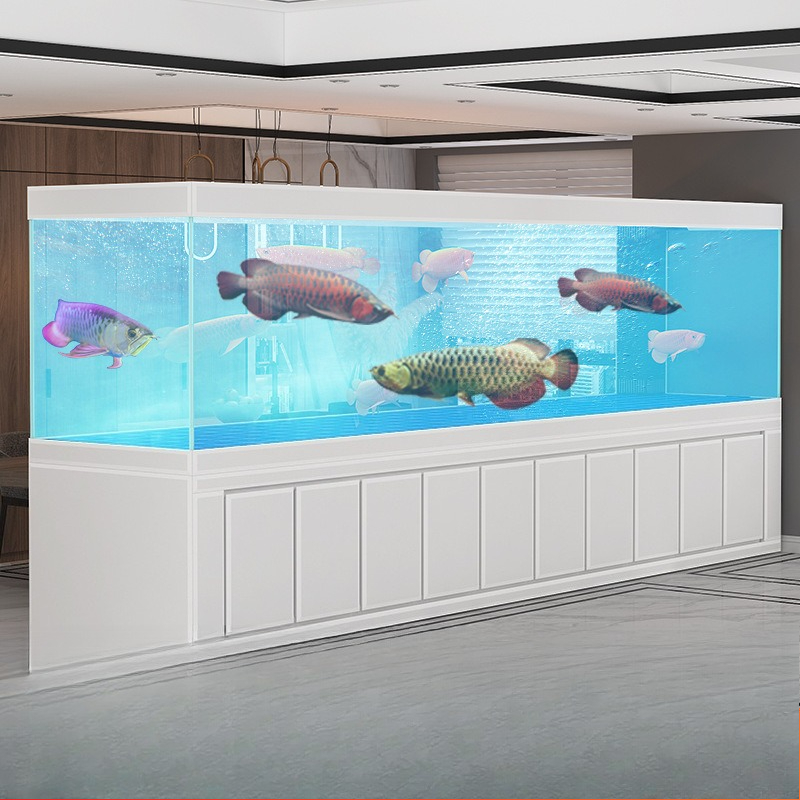 Großes Jinlong-Aquarium für Wo – Aquarium Xxl Bewertung und Preis