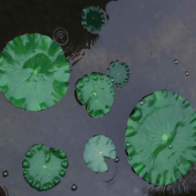 2026 Künstliche Wasserlilien-L – Aquarium Fish Pond Bewertung und Preis