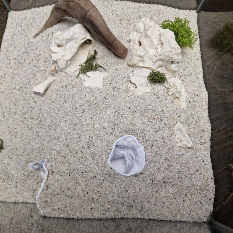 Versteckte Muschelförmige Aqua – Aquarium Fish Hideout Bewertung und Preis