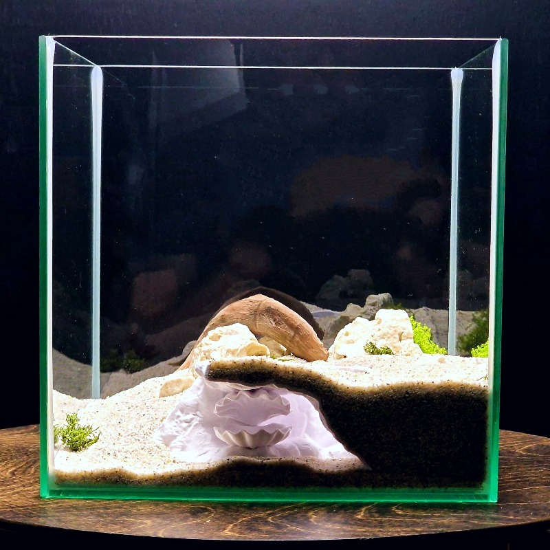 Versteckte Muschelförmige Aqua – Aquarium Fish Hideout Bewertung und Preis