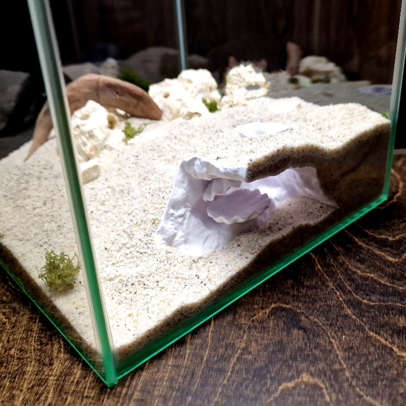 Versteckte Muschelförmige Aqua – Aquarium Fish Hideout Bewertung und Preis