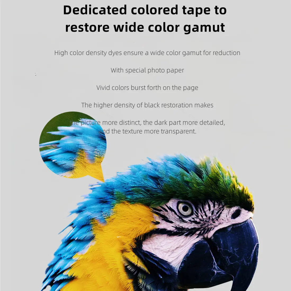 MIjia Fotodrucker Spezielles 6 – Aquarium Xiaomi Bewertung und Preis