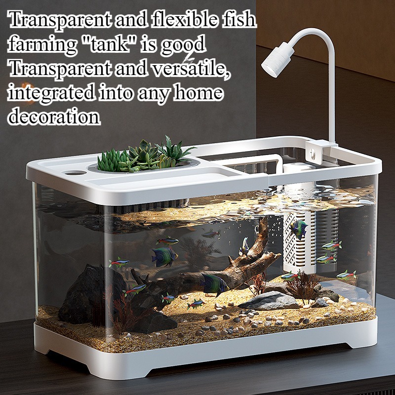 Fischbecken Haushalt-Aquarium  – Aquarium Goldfish Bewertung und Preis