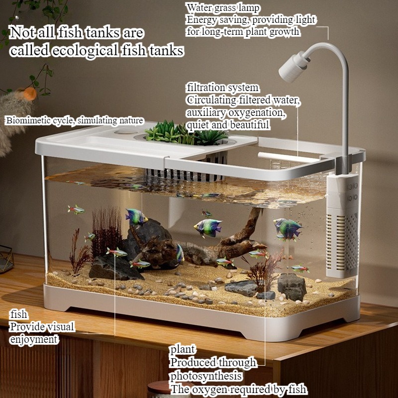 Fischbecken Haushalt-Aquarium  – Aquarium Goldfish Bewertung und Preis