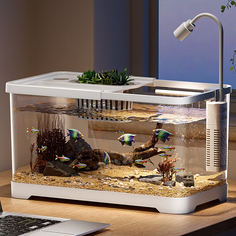 Fischbecken Haushalt-Aquarium  – Aquarium Goldfish Bewertung und Preis