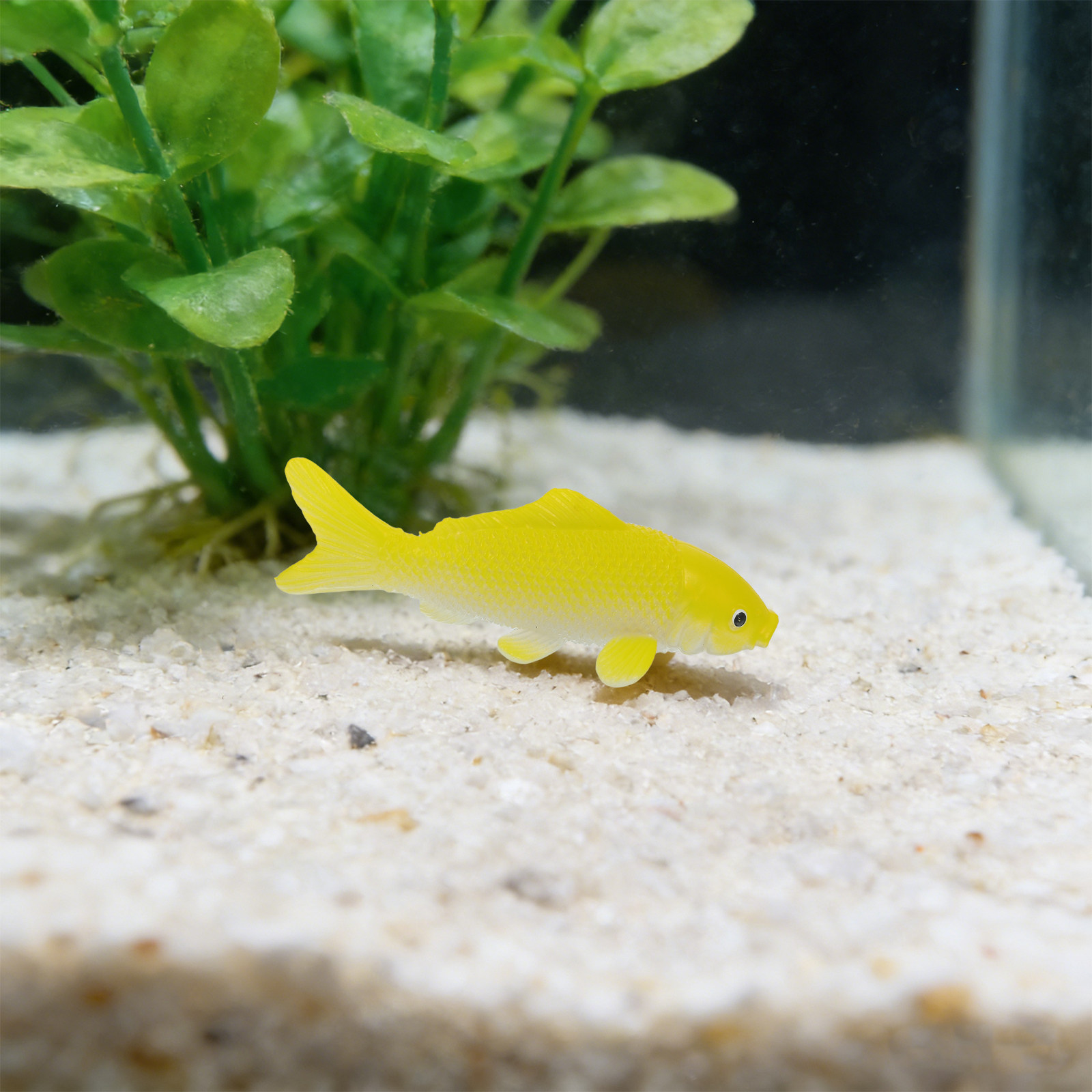 3-teiliges Fisch-Kunsthandwerk – Aquarium Goldfish Bewertung und Preis