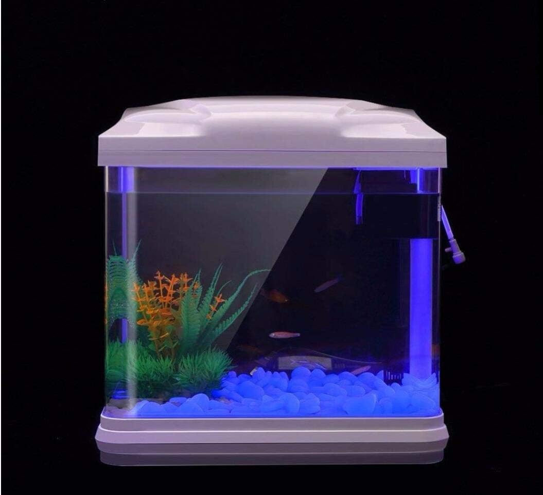 Aquarium-Felsen leuchten blaue – Aquarium Fish Bowl Bewertung und Preis