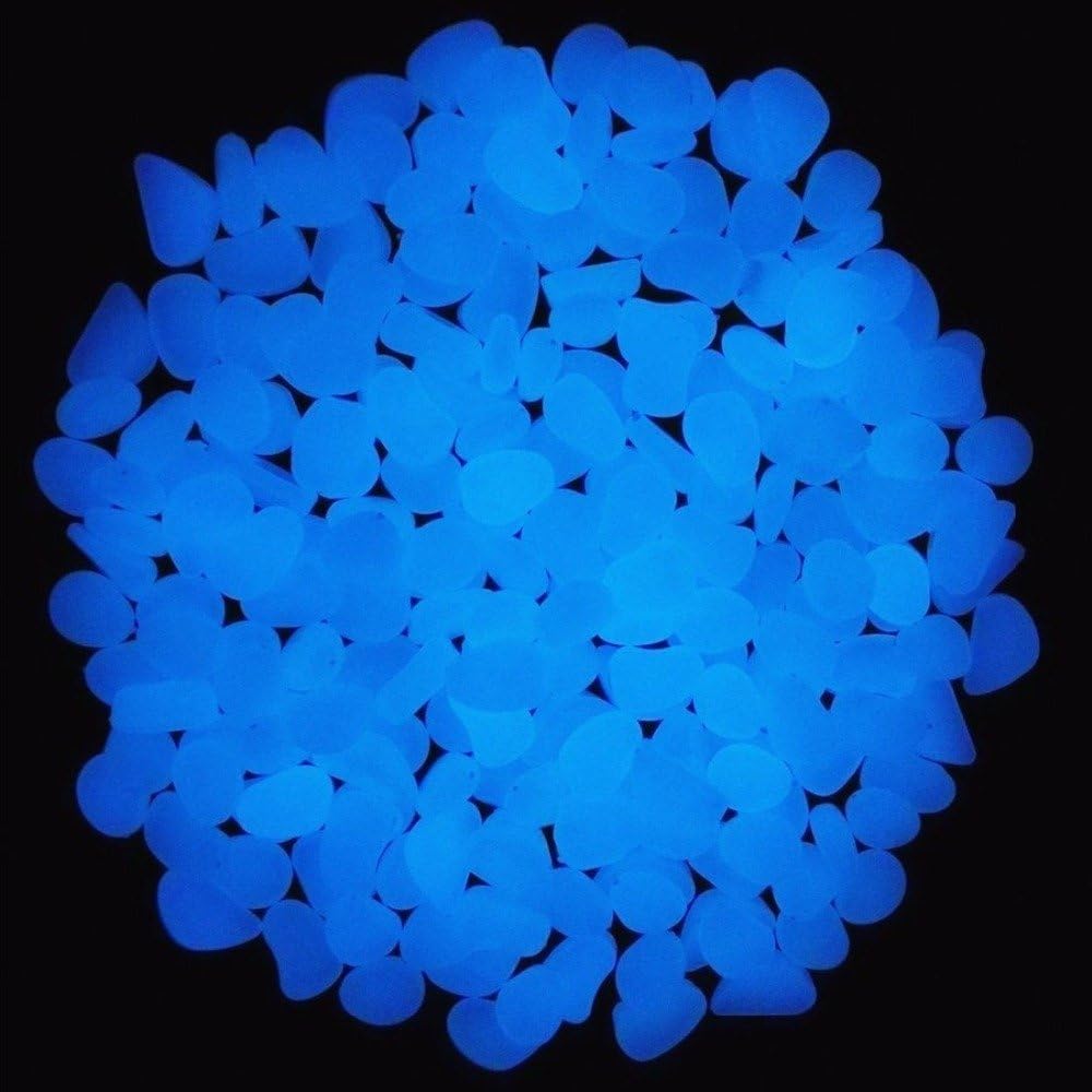 Aquarium-Felsen leuchten blaue – Aquarium Fish Bowl Bewertung und Preis