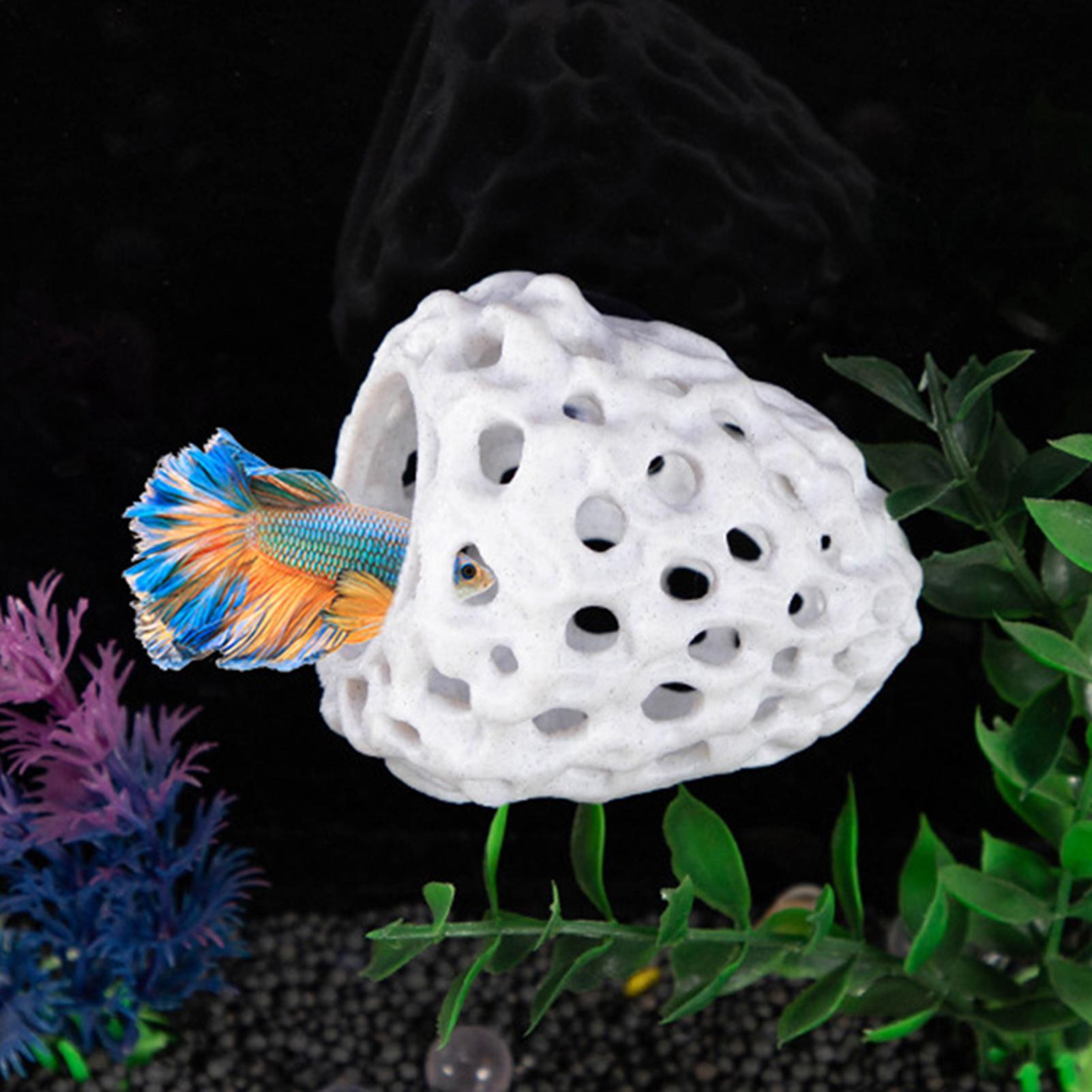Aquarium Garnelenhaus Höhle Mi – Aquarium Fish Hideout Bewertung und Preis
