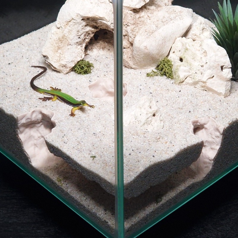 3D-Gedruckter Fisch-Tunnel Aqu – Aquarium Fish Hiding Places Bewertung und Preis