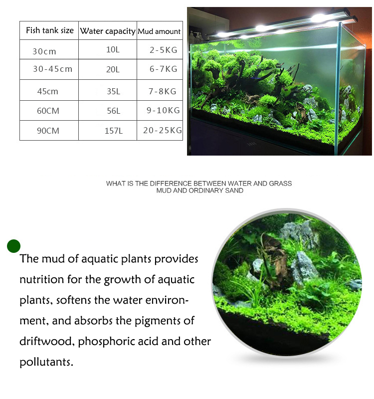 Aquarium Pflanzen Samen Boden  – Aquarium Fish Gallery Bewertung und Preis