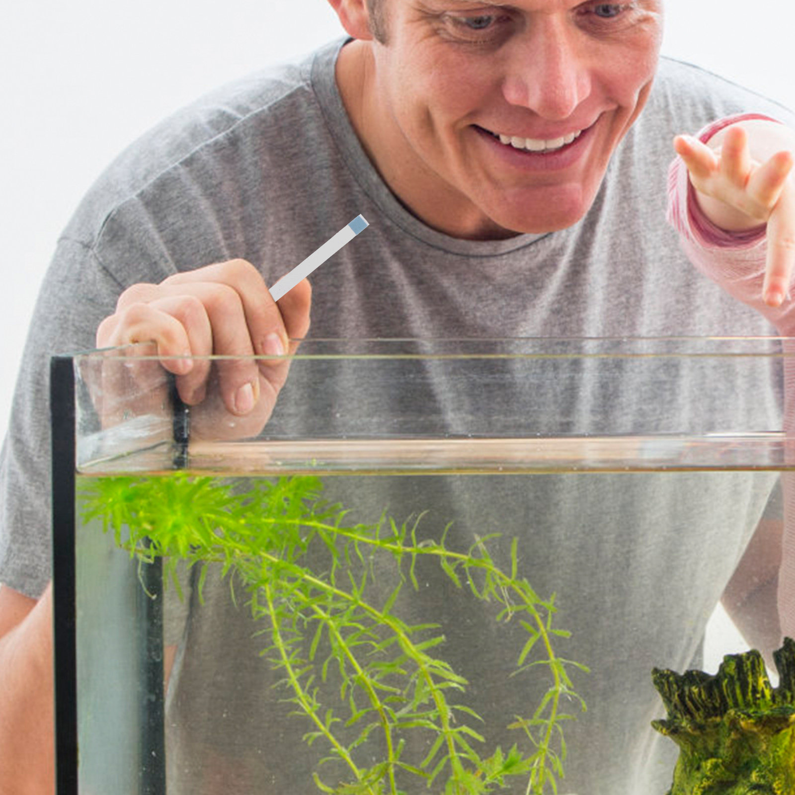 Schwimmbad-Teststreifen, Whirl – Aquarium Fish Pond Bewertung und Preis
