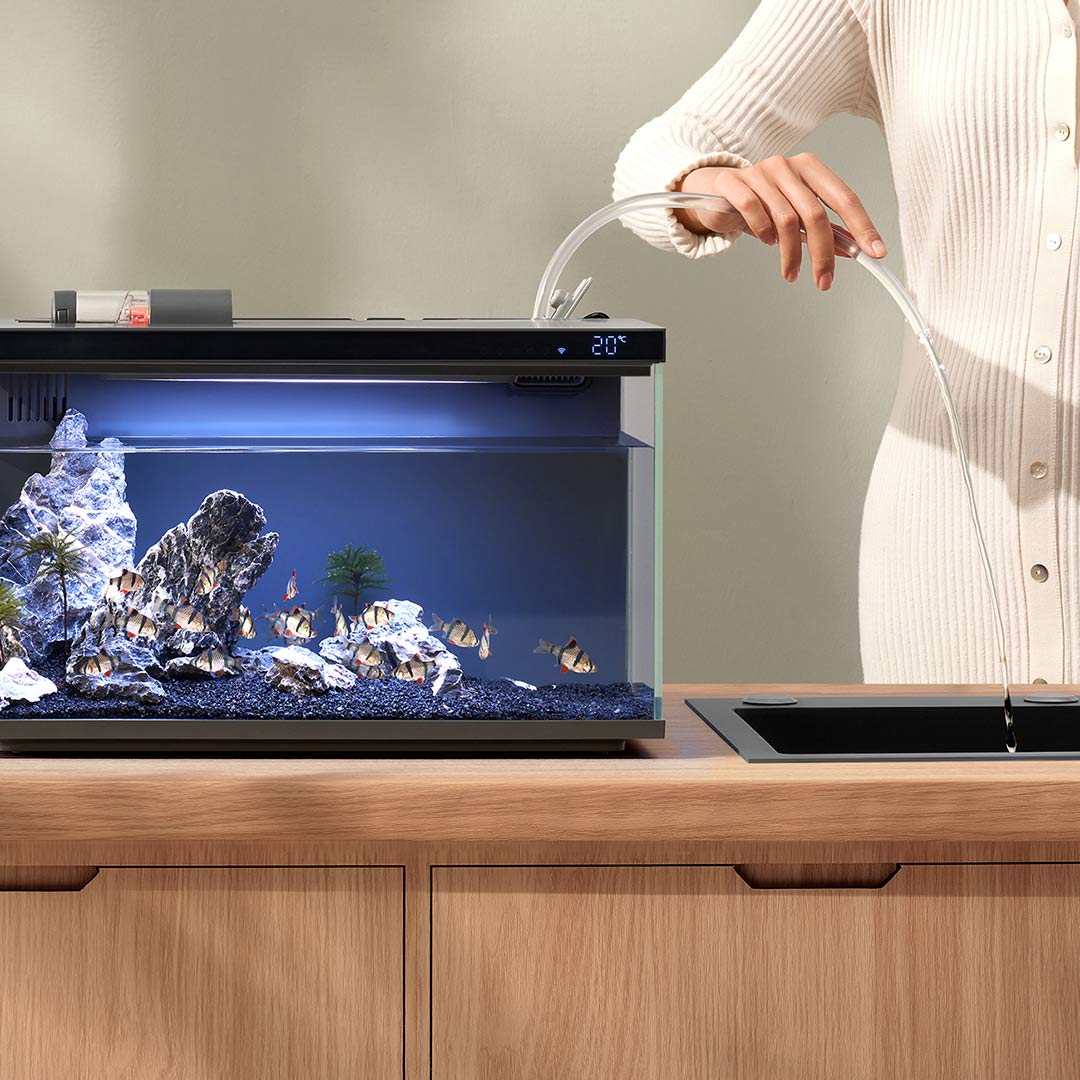 Xiaomi Mijia Smart Fish Tank M – Aquarium Xiaomi Bewertung und Preis