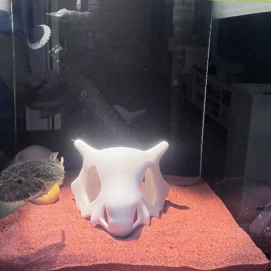 3D-gedruckter Fisch, Garnelen, – Aquarium Fish Hideout Bewertung und Preis