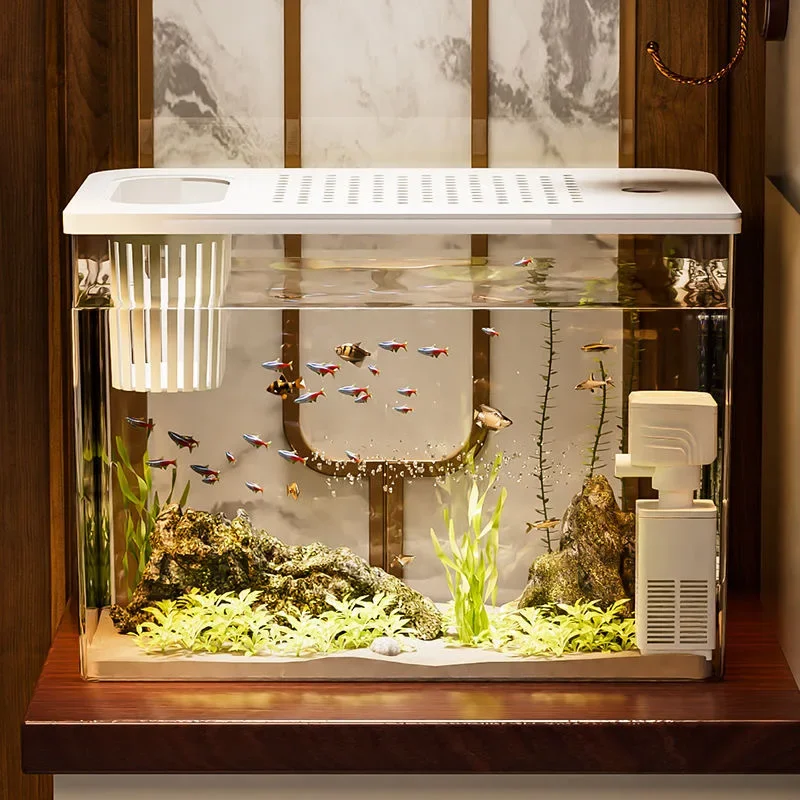 PET + ABS Aquarium Neue Transp – Aquarium Goldfish Bewertung und Preis