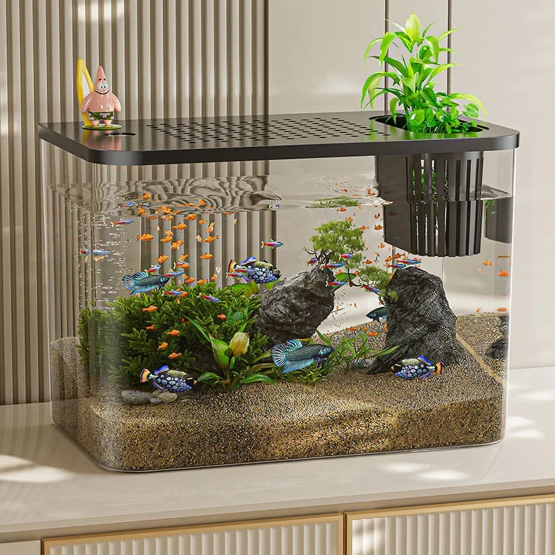 PET + ABS Aquarium Neue Transp – Aquarium Goldfish Bewertung und Preis
