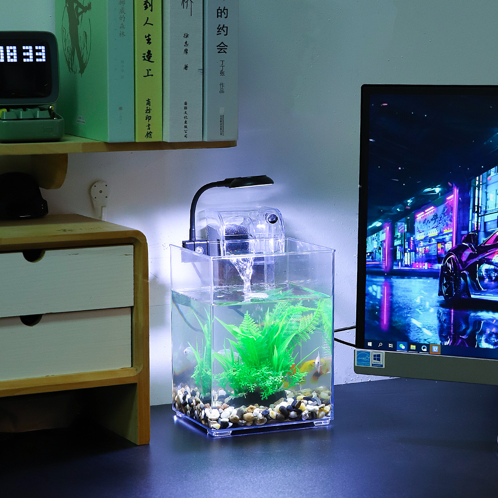 USB Desktop Aquarium Set-einfa – Aquarium Goldfish Bewertung und Preis