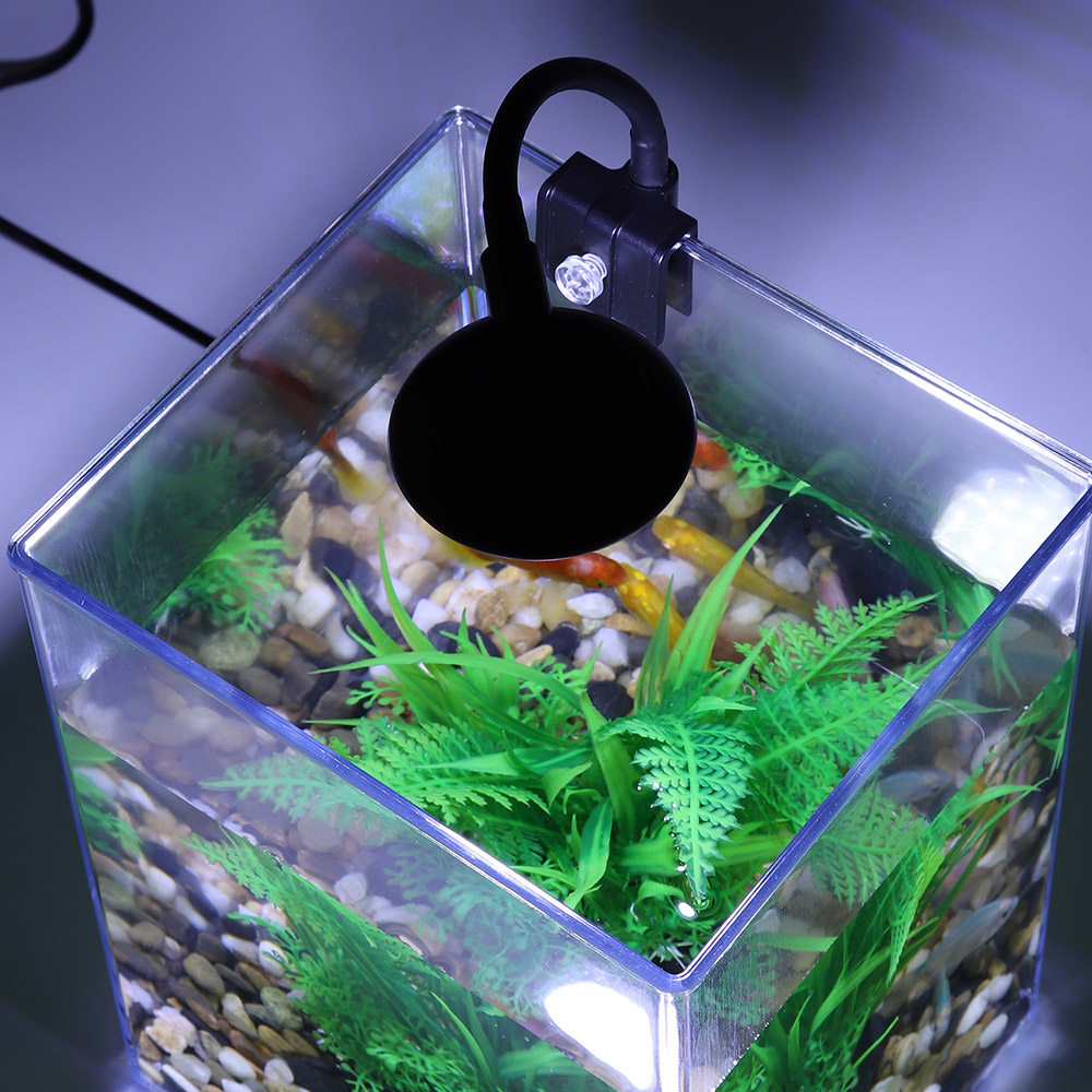 USB Desktop Aquarium Set-einfa – Aquarium Goldfish Bewertung und Preis